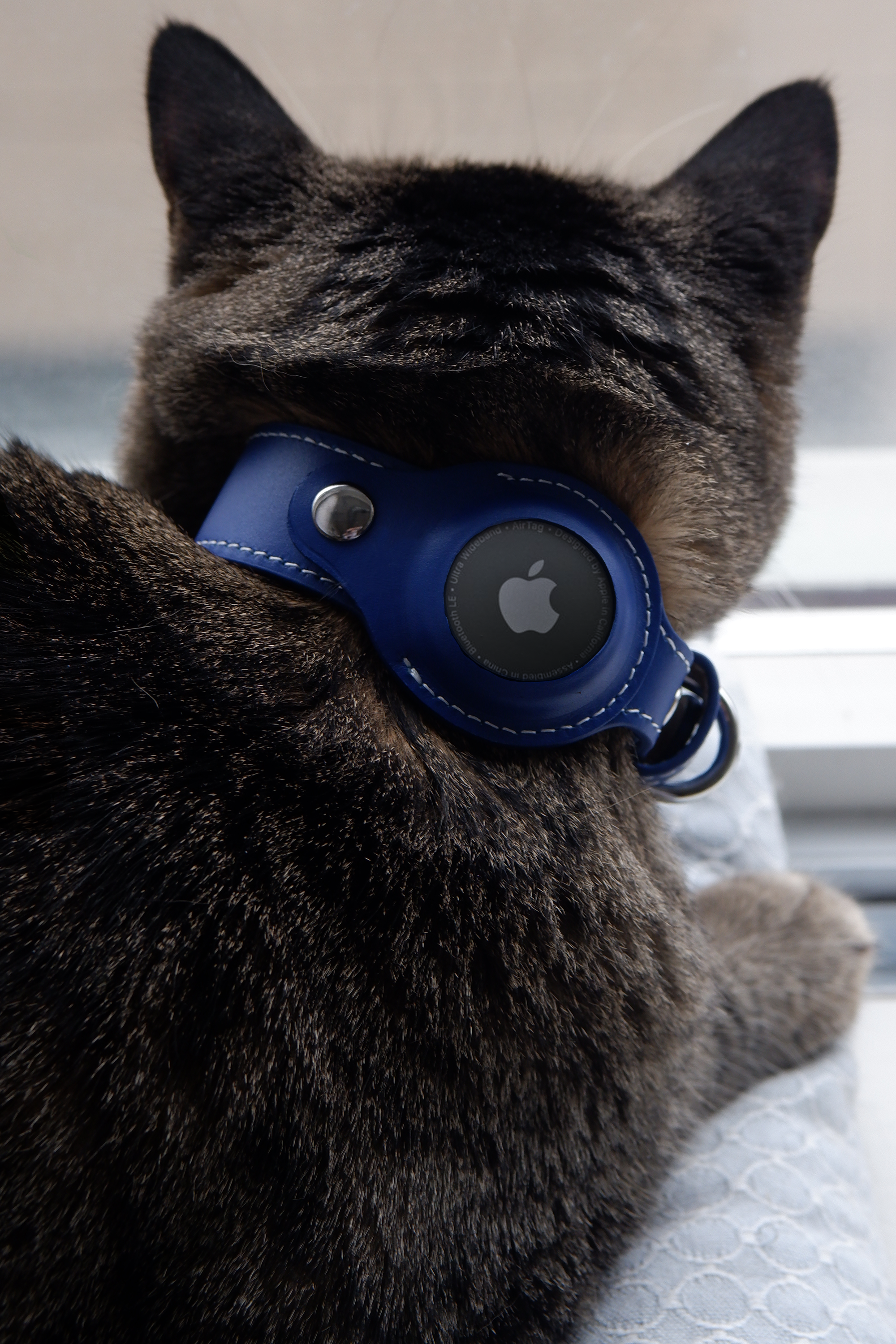 AirTag Cat Collar. AirTag Cat Collar for cat tracking