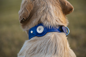 Personalized Premium Leather Airtag Dog Collar by Nine Twenty Eight™ Nine Twenty Eight