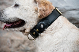 Personalized AirTag Dog Collar by Nine Twenty Eight™ Nine Twenty Eight