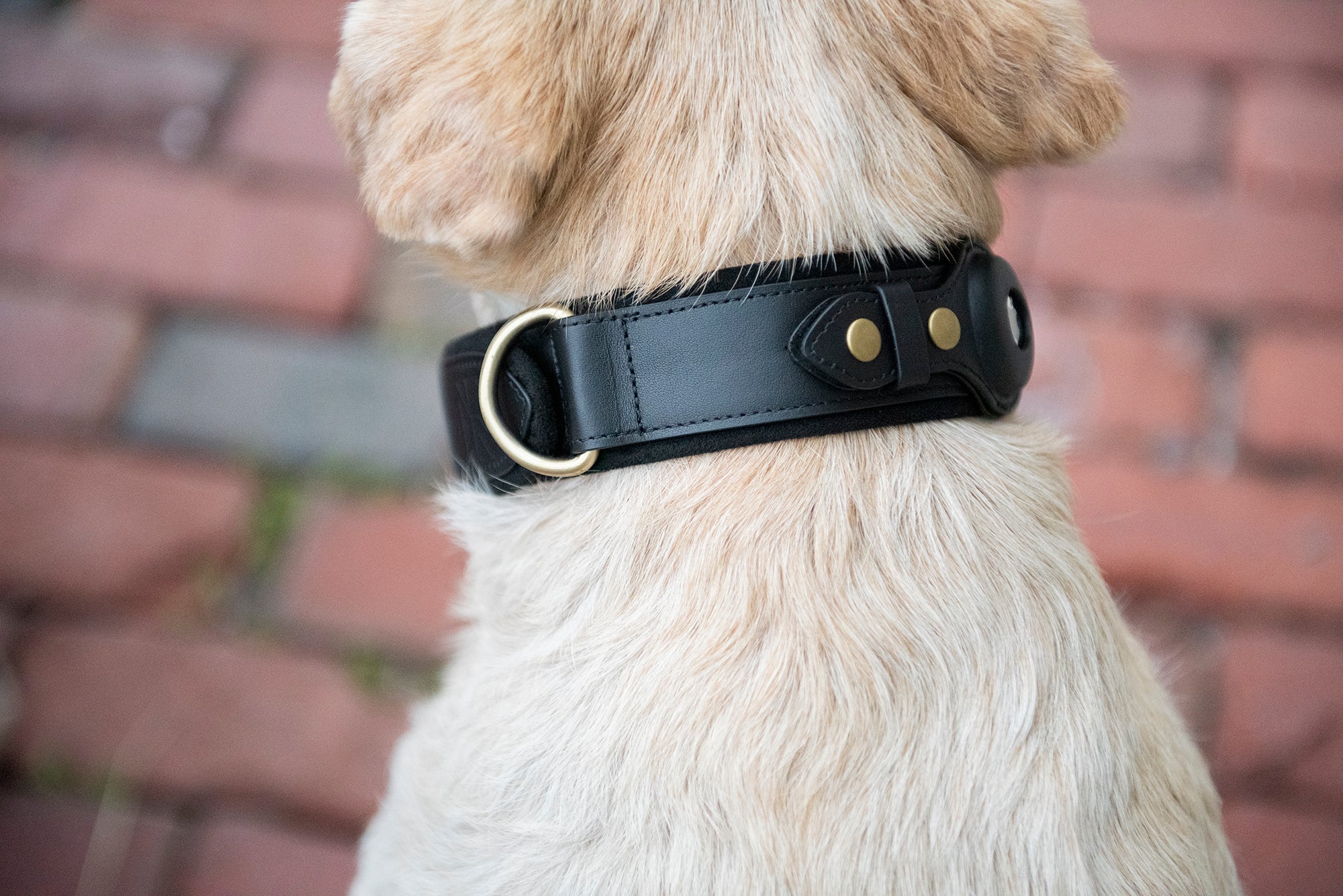 Personalizable Faux Leather Apple AirTag Dog Collar by Nine Twenty Eight™  Leather, Faux Leather and Premium Collar Option Available for Pets 