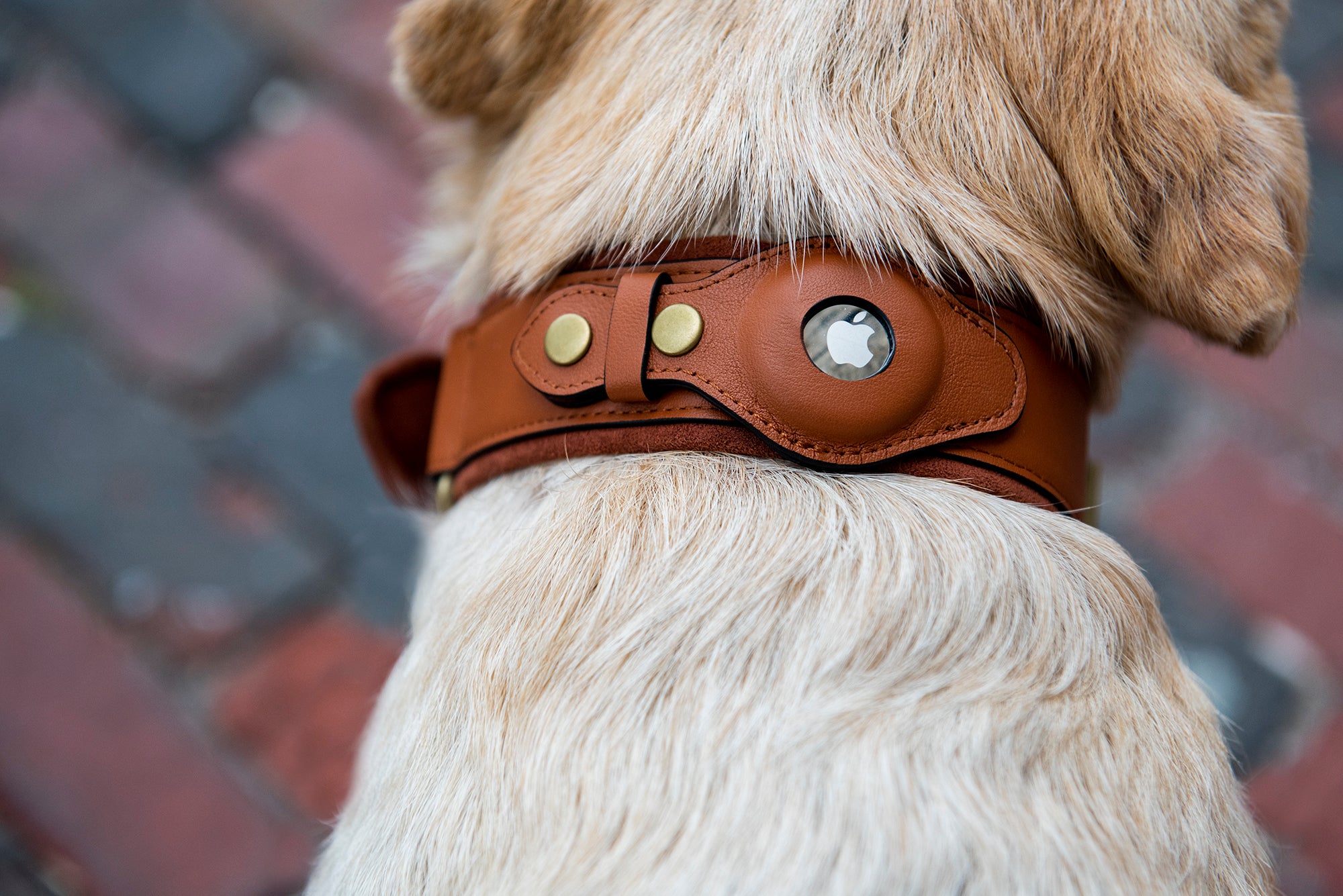 Personalized AirTag Dog Collar by Nine Twenty Eight™ Nine Twenty Eight