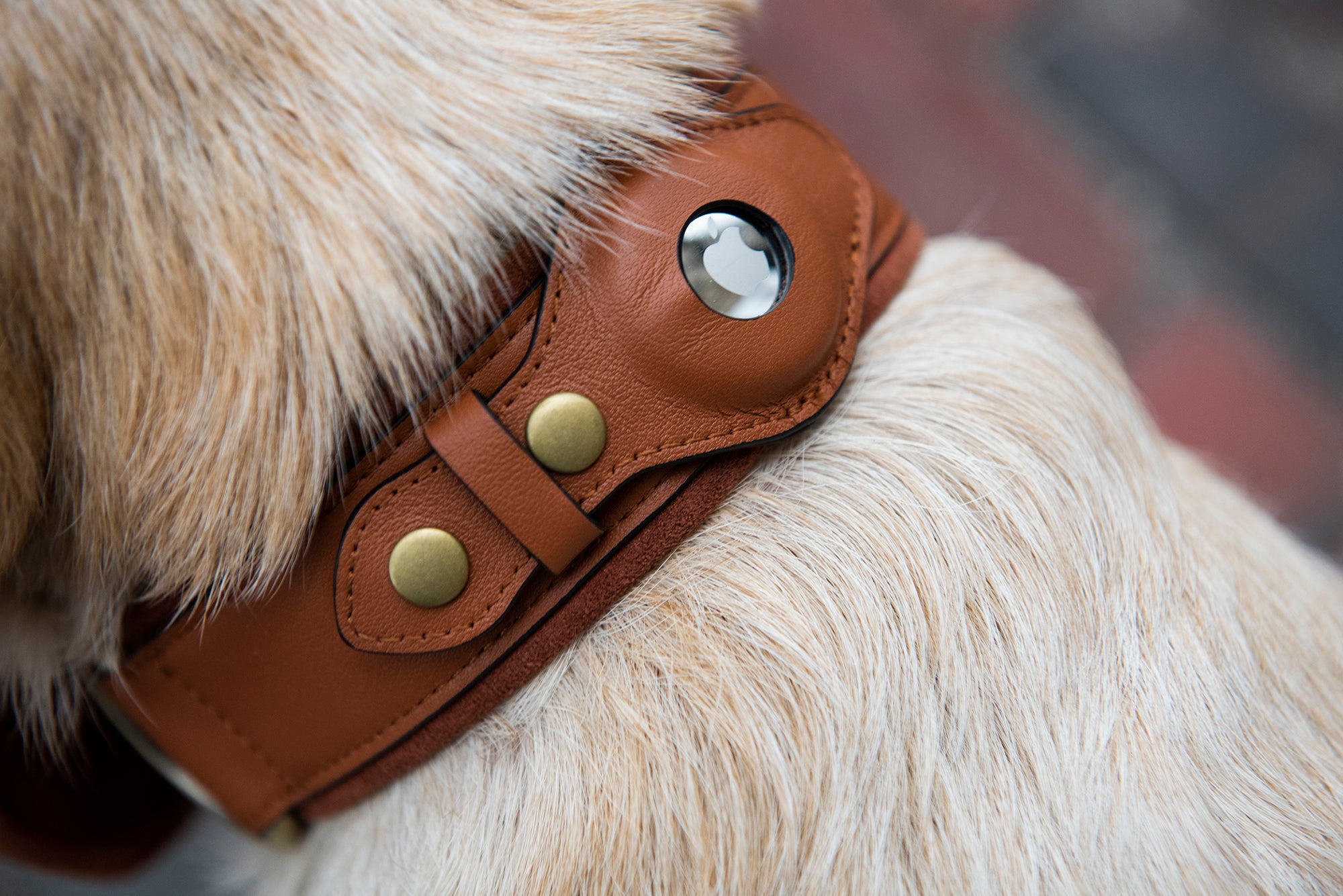 Dog Collar Nine Twenty Eight Personalized AirTag Dog Collar by Nine Twenty  Eight™