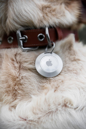 Apple Airtag Holder Dog Collar, Airtag Case Dog Collar